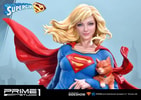Supergirl Collector Edition - Prototype Shown