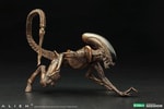Dog Alien (Prototype Shown) View 1
