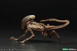 Dog Alien (Prototype Shown) View 3