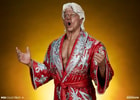 Ric Flair