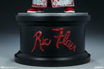 Ric Flair Collector Edition - Prototype Shown