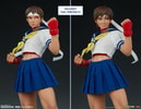Sakura Classic Collector Edition - Prototype Shown