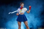 Sakura Classic Collector Edition - Prototype Shown