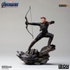 Hawkeye (Prototype Shown) View 4