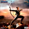 Hawkeye (Prototype Shown) View 8