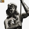 Wonder Woman: Princess of Themyscira (Silver Edition) Exclusive Edition (Prototype Shown) View 6