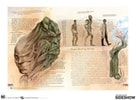 DC Comics: Anatomy of a Metahuman