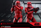 Sith Trooper (Prototype Shown) View 19