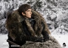 Bran Stark Collector Edition (Prototype Shown) View 3