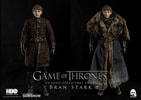 Bran Stark Collector Edition (Prototype Shown) View 12