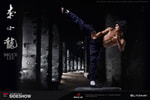 Bruce Lee Tribute- Prototype Shown