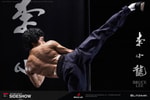 Bruce Lee Tribute