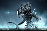 Alien Warrior Deluxe (Prototype Shown) View 1