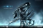 Alien Warrior Deluxe (Prototype Shown) View 3