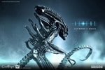 Alien Warrior Deluxe (Prototype Shown) View 4