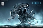 Alien Warrior Deluxe (Prototype Shown) View 6