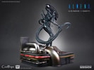 Alien Warrior Deluxe (Prototype Shown) View 9