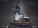 Alien Warrior Deluxe (Prototype Shown) View 10