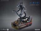 Alien Warrior Deluxe (Prototype Shown) View 11