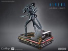 Alien Warrior Deluxe (Prototype Shown) View 12
