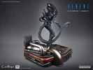 Alien Warrior Deluxe (Prototype Shown) View 13