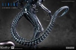 Alien Warrior Deluxe (Prototype Shown) View 18