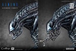 Alien Warrior Deluxe (Prototype Shown) View 19