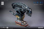 Alien Warrior Deluxe (Prototype Shown) View 25