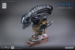 Alien Warrior Deluxe (Prototype Shown) View 26