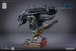 Alien Warrior Deluxe (Prototype Shown) View 27