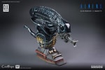 Alien Warrior Deluxe (Prototype Shown) View 28