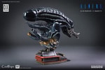 Alien Warrior Deluxe (Prototype Shown) View 29