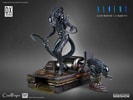 Alien Warrior Deluxe (Prototype Shown) View 30