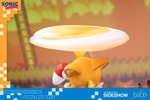 Sonic and Tails (Prototype Shown) View 12