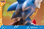 Sonic and Tails (Prototype Shown) View 13