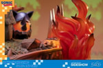 Sonic and Tails (Prototype Shown) View 16