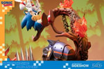 Sonic and Tails (Prototype Shown) View 18