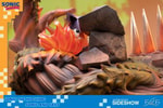 Sonic and Tails (Prototype Shown) View 19