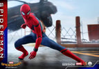 Spider-Man Collector Edition (Prototype Shown) View 11