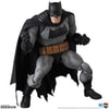 Batman "The Dark Knight Returns" (Prototype Shown) View 1
