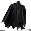 Batman "The Dark Knight Returns" (Prototype Shown) View 6
