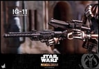 IG-11 (Prototype Shown) View 9