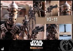 IG-11 (Prototype Shown) View 19