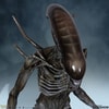 Xenomorph (Prototype Shown) View 6