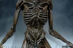 Xenomorph (Prototype Shown) View 7