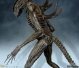 Xenomorph (Prototype Shown) View 9