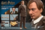 Remus Lupin (Deluxe) (Prototype Shown) View 2
