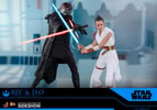 Rey and D-O (Prototype Shown) View 17