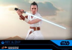 Rey and D-O (Prototype Shown) View 16