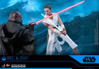 Rey and D-O (Prototype Shown) View 15